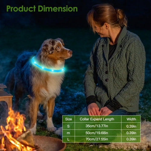 1Pc USB Rechargeable LED Dog Collar Multi Color Lighting Dog Safety