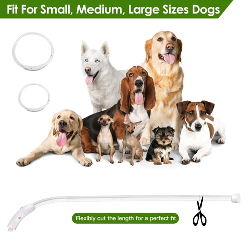 1Pc USB Rechargeable LED Dog Collar Multi Color Lighting Dog Safety