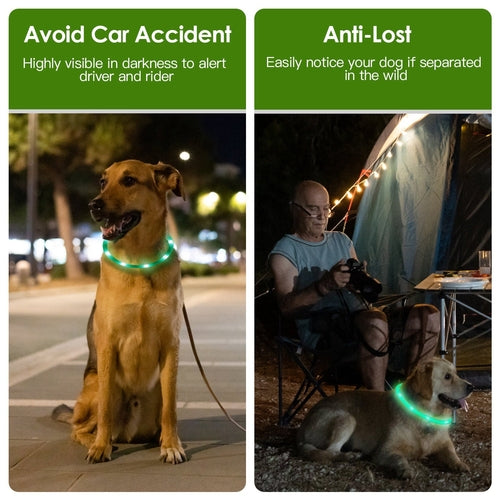 1Pc USB Rechargeable LED Dog Collar Multi Color Lighting Dog Safety